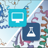 Register Now for a Virtual Deep Dive into Computed Structure Model Exploration at RCSB.org